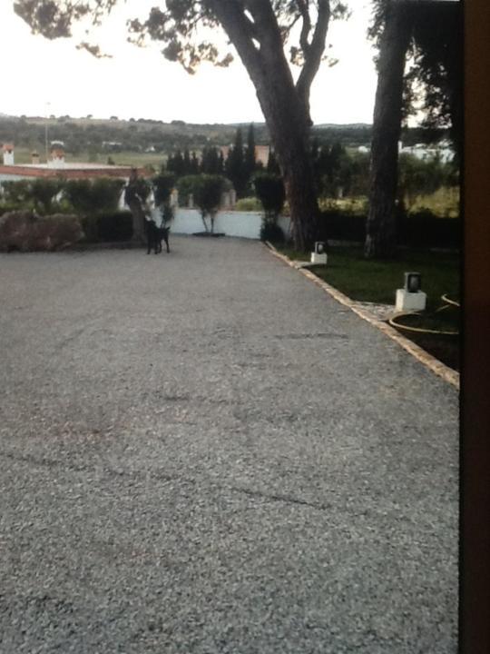 Casa Las Ciguenas Lägenhet Vejer de la Frontera Exteriör bild