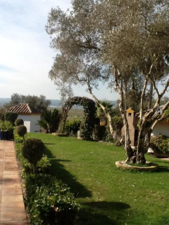 Casa Las Ciguenas Lägenhet Vejer de la Frontera Exteriör bild