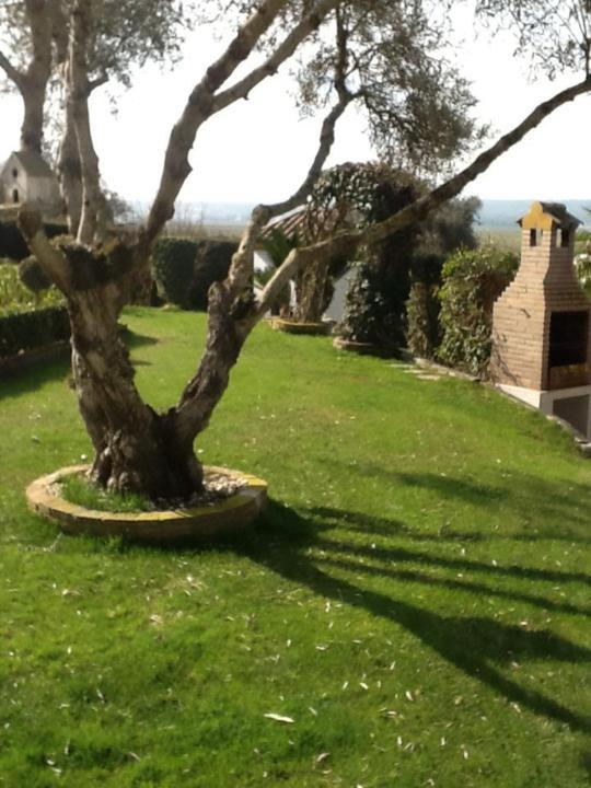 Casa Las Ciguenas Lägenhet Vejer de la Frontera Exteriör bild